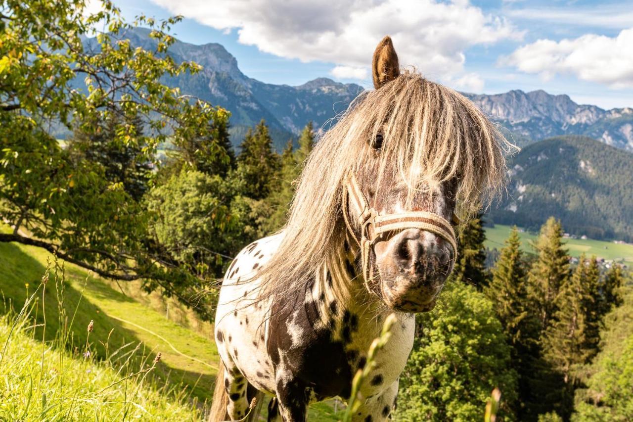 Bucheggerhof Lägenhet Schladming Exteriör bild