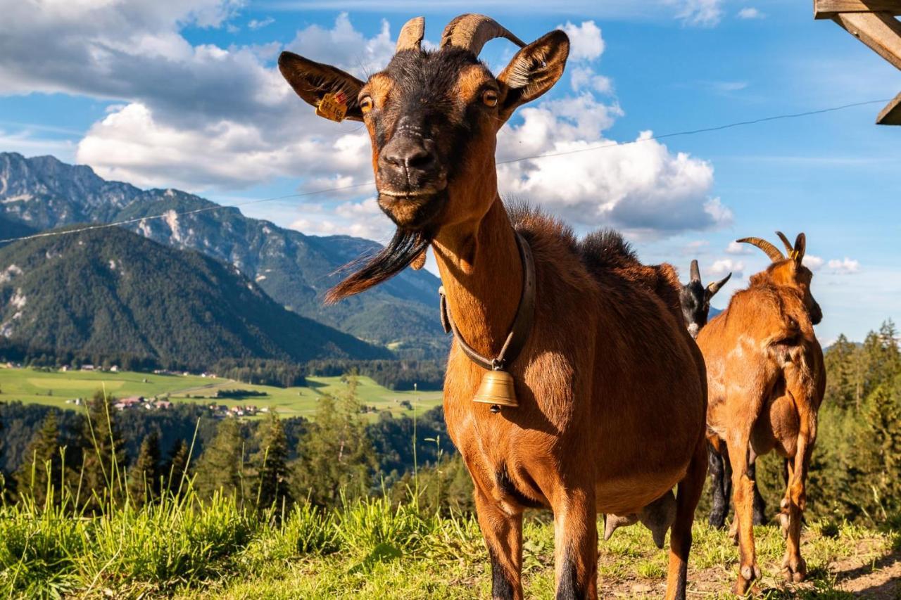Bucheggerhof Lägenhet Schladming Exteriör bild